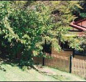 Apple Tree Cottage - Darwin Holiday