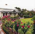 Antique Market of Warrnambool - Darwin Holiday