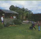 Tambo Lodge - Darwin Holiday