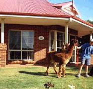 Brilea Cottages - Darwin Holiday