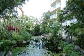 181 The Esplanade - Darwin Holiday 1