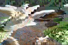 Wynyabbie House - Darwin Holiday 2