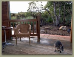 Kangaroo Island Wilderness Resort - Darwin Holiday 1