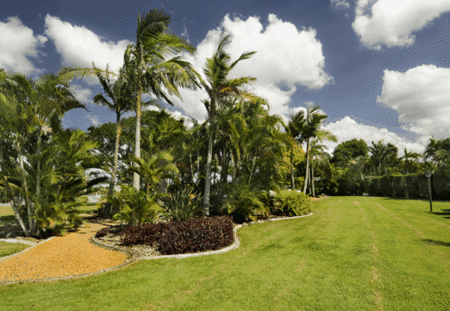 Mcnevins Loganholme - Darwin Holiday 3