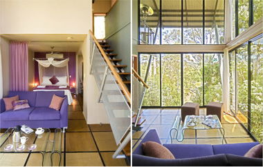 EcOasis - Darwin Holiday 1