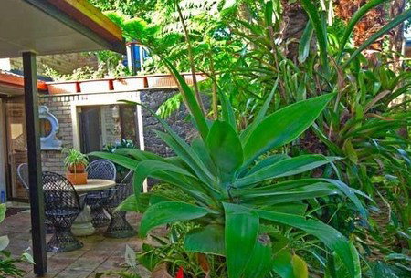 Sandals - Darwin Holiday 3