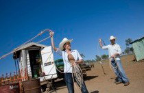 Kroombit Park At Lochenbar Station - Darwin Holiday 3