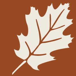 Marysville Garden Cottages - Darwin Holiday 0