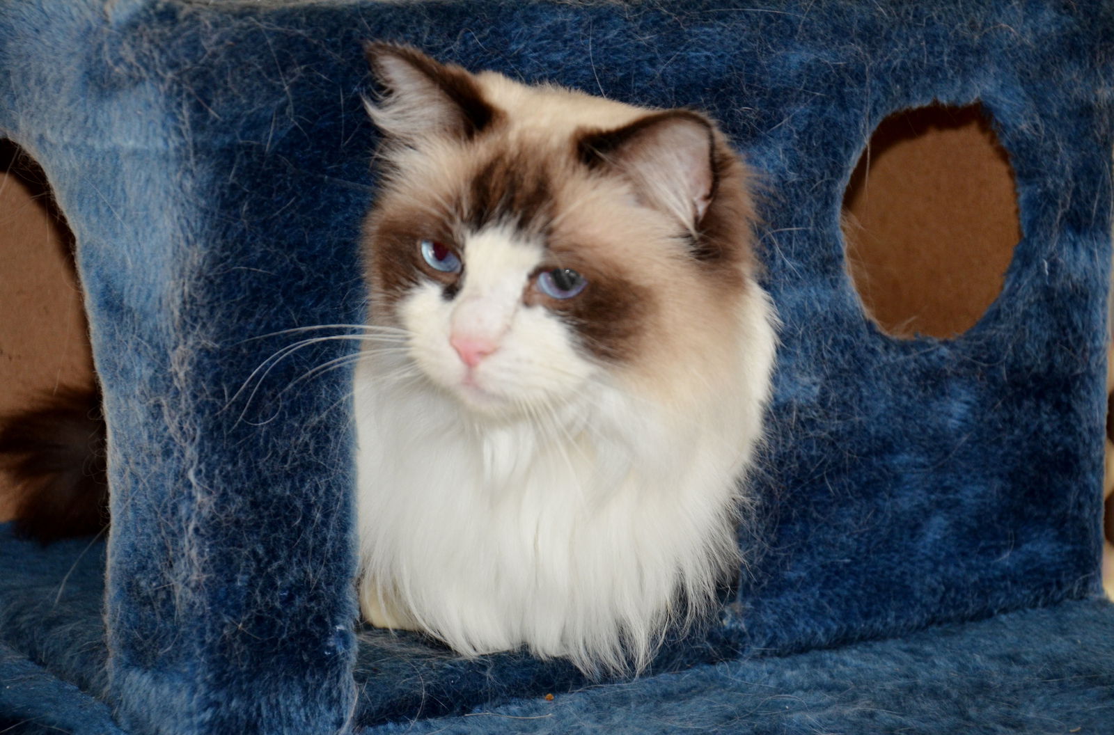 Canning Vale WA Darwin Holiday