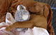 Wingham Pet Motel - thumb 6