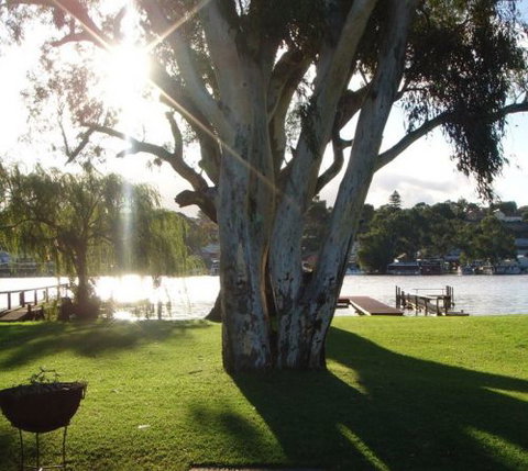 Eleven From The Left - Darwin Holiday 1