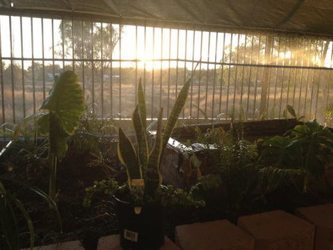 Cityside Accommodation | Mt Isa - Darwin Holiday 5