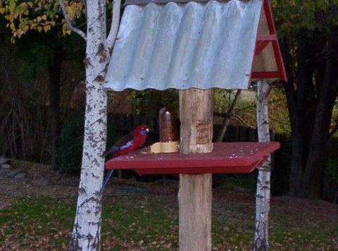 Colonial Motel Omeo - Darwin Holiday 5