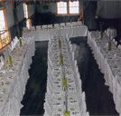 Echidna Gully Paintball and Lazerblits - Darwin Holiday