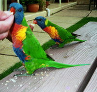 Inlet Views Holiday Lodge Motel - Darwin Holiday