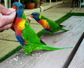 Inlet Views Holiday Lodge Motel - Darwin Holiday 0