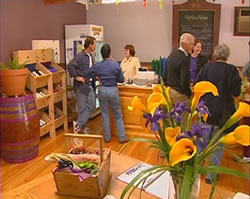 Settlers Ridge Organic Wines - Darwin Holiday 0