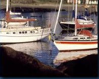 Boat Harbour Motel & Anchorage Restaurant - Darwin Holiday 1