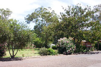 Colonial Inn Tamworth - Darwin Holiday 4