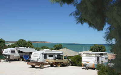 Blue Dolphin Caravan Park And Holiday Village - Darwin Holiday 0