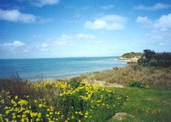 Southern Ocean Tourist Park - Darwin Holiday 1