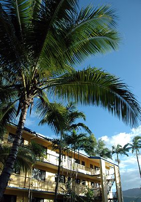 Palms At Trinity - Darwin Holiday 3