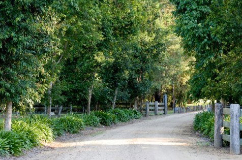 The Plantation - Darwin Holiday 0