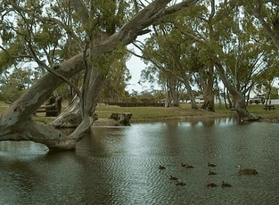 Bordertown Abode Parkland Motel - Darwin Holiday 2