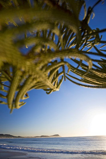 Terrigal Sails Serviced Apartments - Darwin Holiday 5