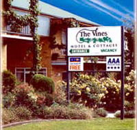 The Vines - Darwin Holiday