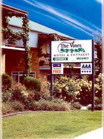The Vines - Darwin Holiday 0