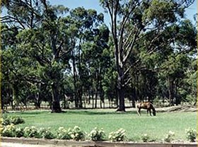 Saratoga Lodge - Darwin Holiday 0