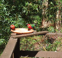 Tree Tops - Darwin Holiday