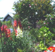 Hopfield Country Cottages - Darwin Holiday