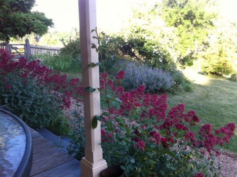 Cookes Cottage - Darwin Holiday 2