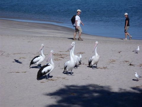 Kalbarri Accommodation Service - Darwin Holiday 5