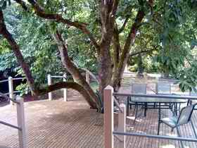 Magnolia House Marysville - Darwin Holiday 0