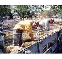 Old Nubba Schoolhouse - Darwin Holiday