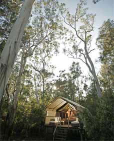 Paperbark Camp - Darwin Holiday 0