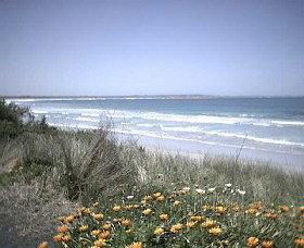 Moyne Cottage - Darwin Holiday 0