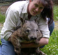 Fauna Australia Wildlife Retreat