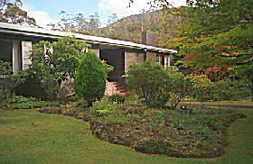 Fern Tree TAS Darwin Holiday
