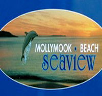 A Mollymook Beach Seaview - Darwin Holiday
