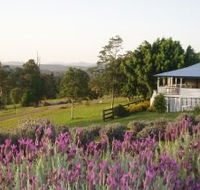Blue Ridge Lavender Farm And Retreat - Darwin Holiday