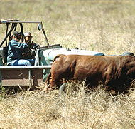 Bullo River Station - Darwin Holiday