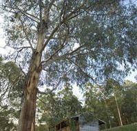 Outpost Restaurant - Darwin Holiday