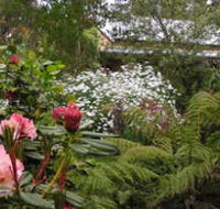 Lorne Lemonade Creek Cottages - Darwin Holiday