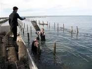 Cowell Foreshore Caravan Park & Holiday Units - Darwin Holiday 2