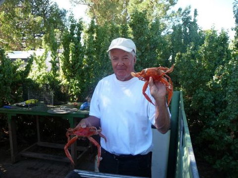 Cowell Foreshore Caravan Park & Holiday Units - Darwin Holiday 4