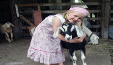 Nabiac NSW Darwin Holiday